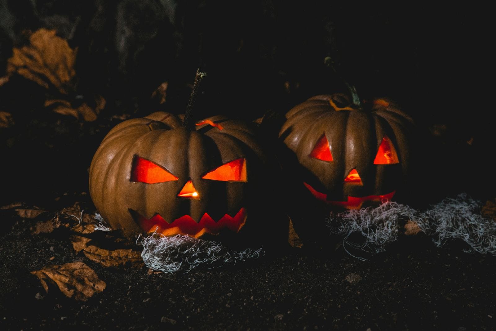 Halloween & decoratie